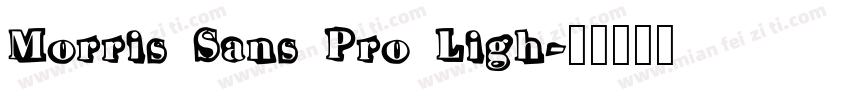 Morris Sans Pro Ligh字体转换